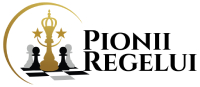 Logo Pionii